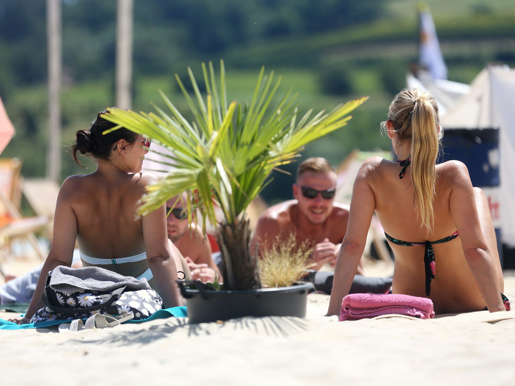 Unser Foto zeigt Sonnenanbeterinnen im Freibad am Baldeneysee im Süden der Stadt Essen.