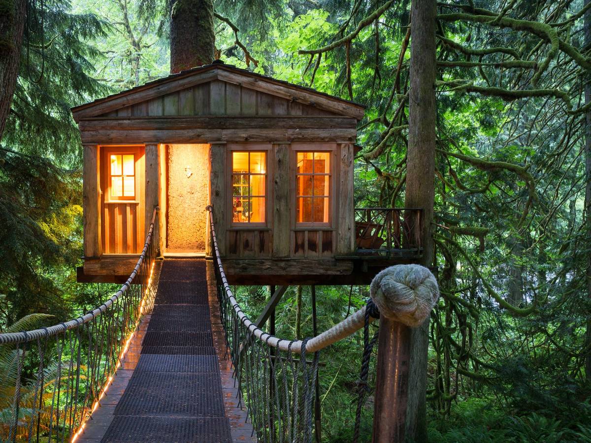 Ein erleuchtetes Baumhaus im Wald.
