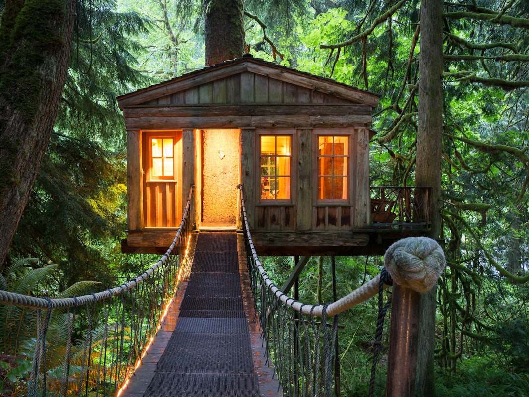 Ein erleuchtetes Baumhaus im Wald.