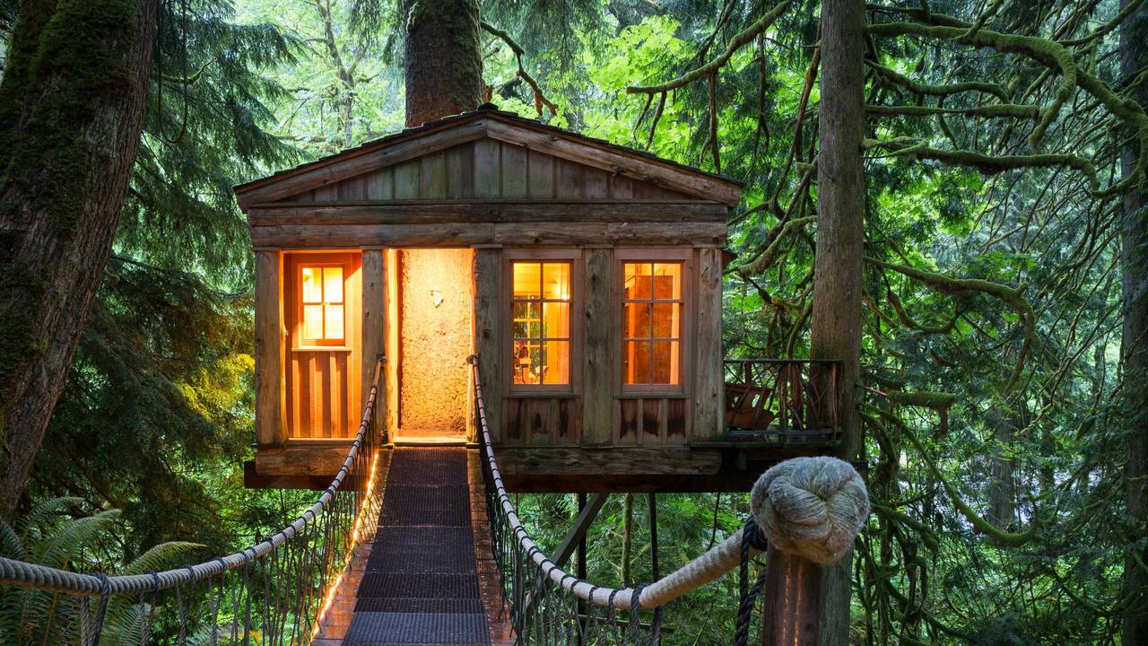 Ein erleuchtetes Baumhaus im Wald.