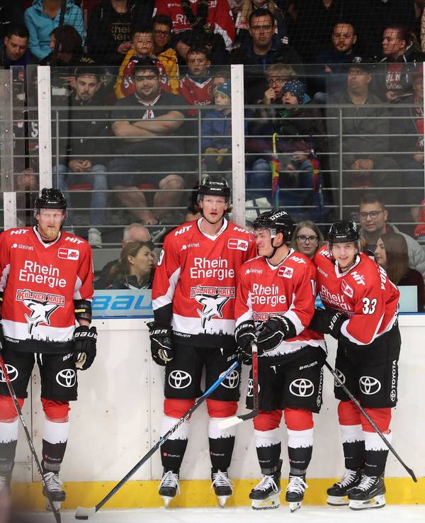 Trainingsauftakt der Kölner Haie vor über 500 Fans.