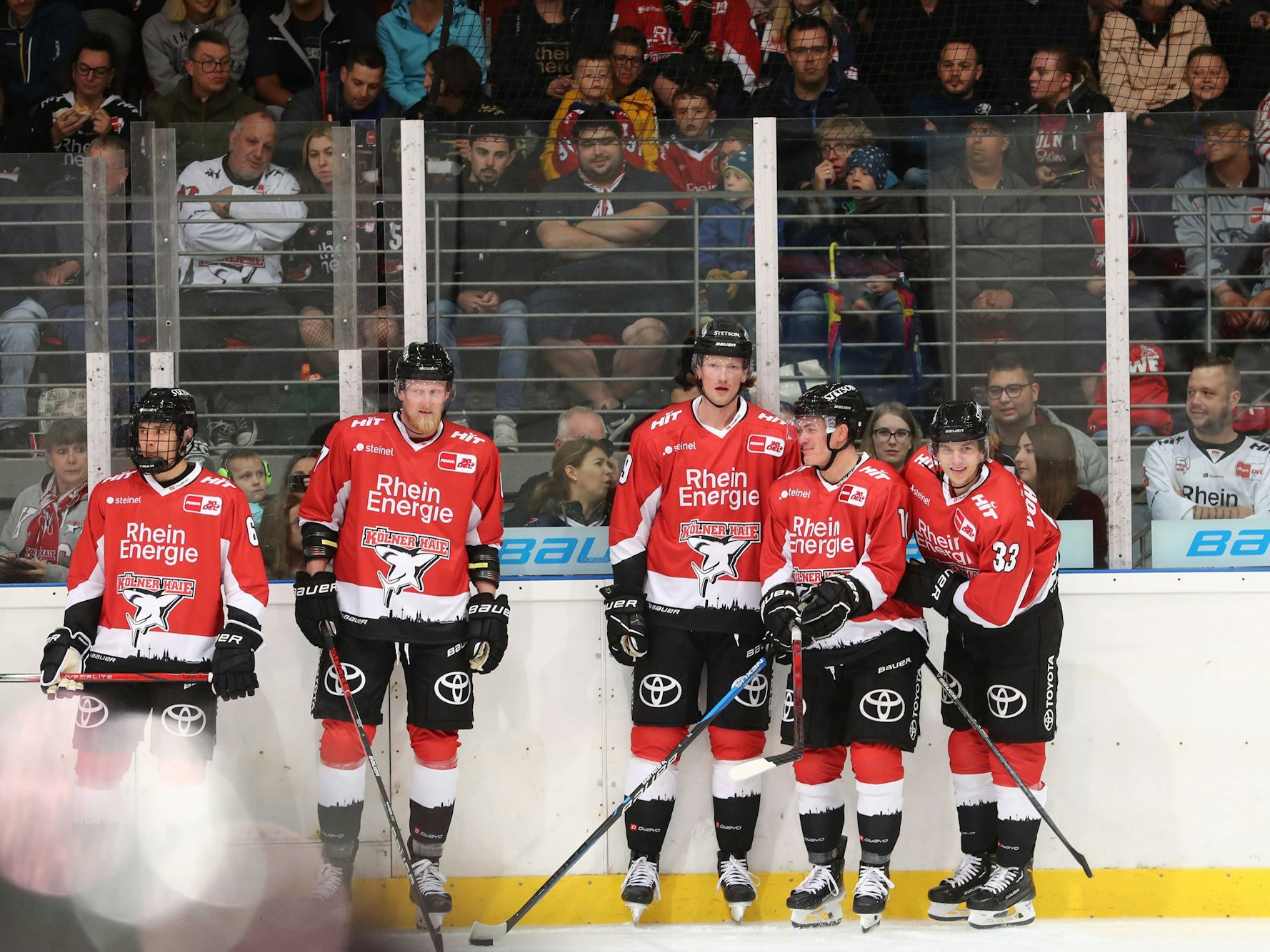 Trainingsauftakt der Kölner Haie vor über 500 Fans.