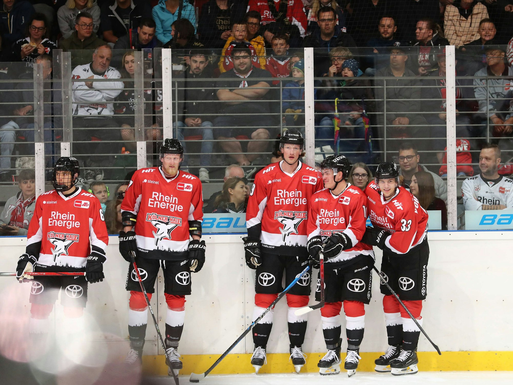 Trainingsauftakt der Kölner Haie vor über 500 Fans.