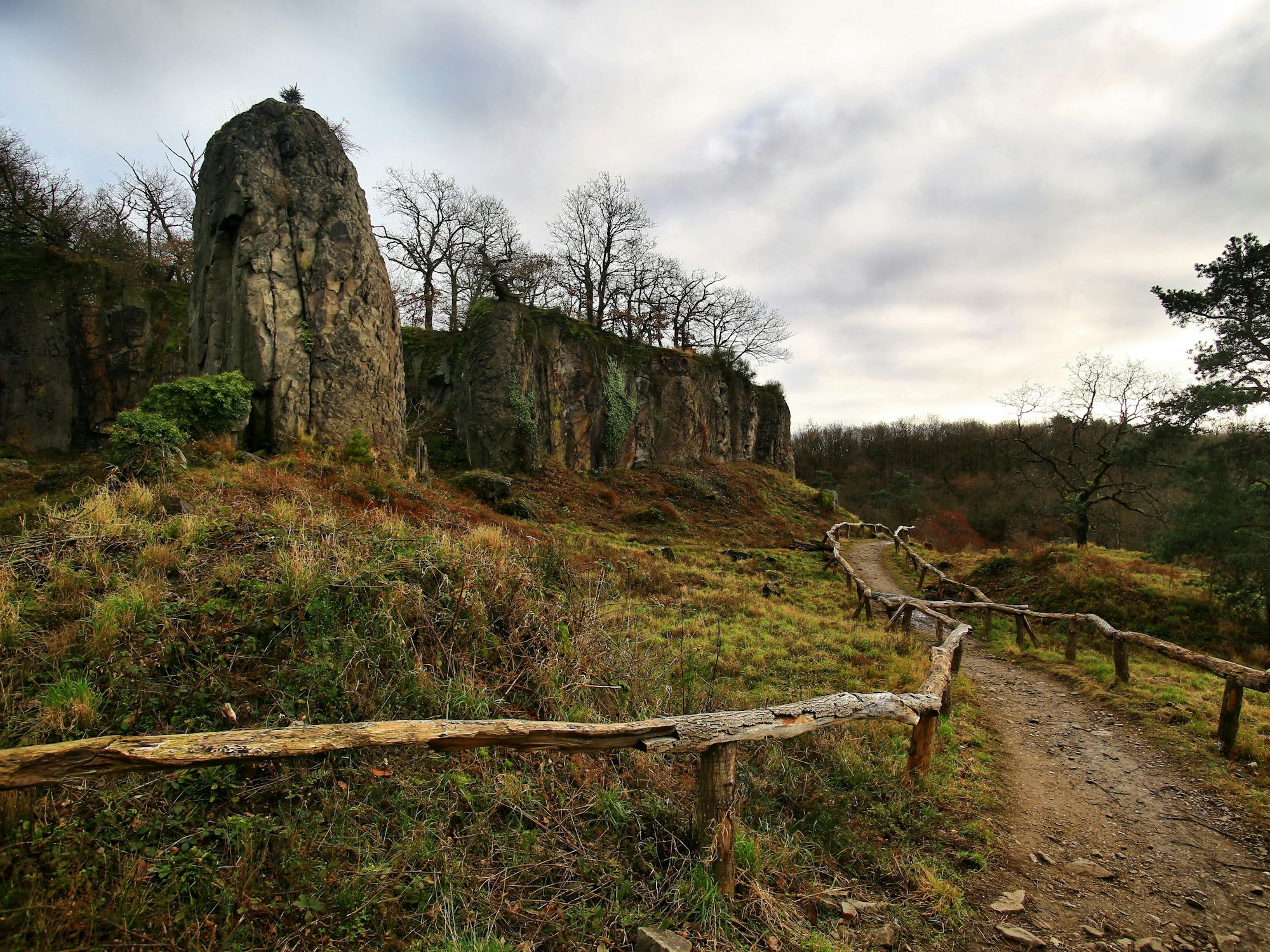 Umläufer am Stenzelberg im Siebengebirge.