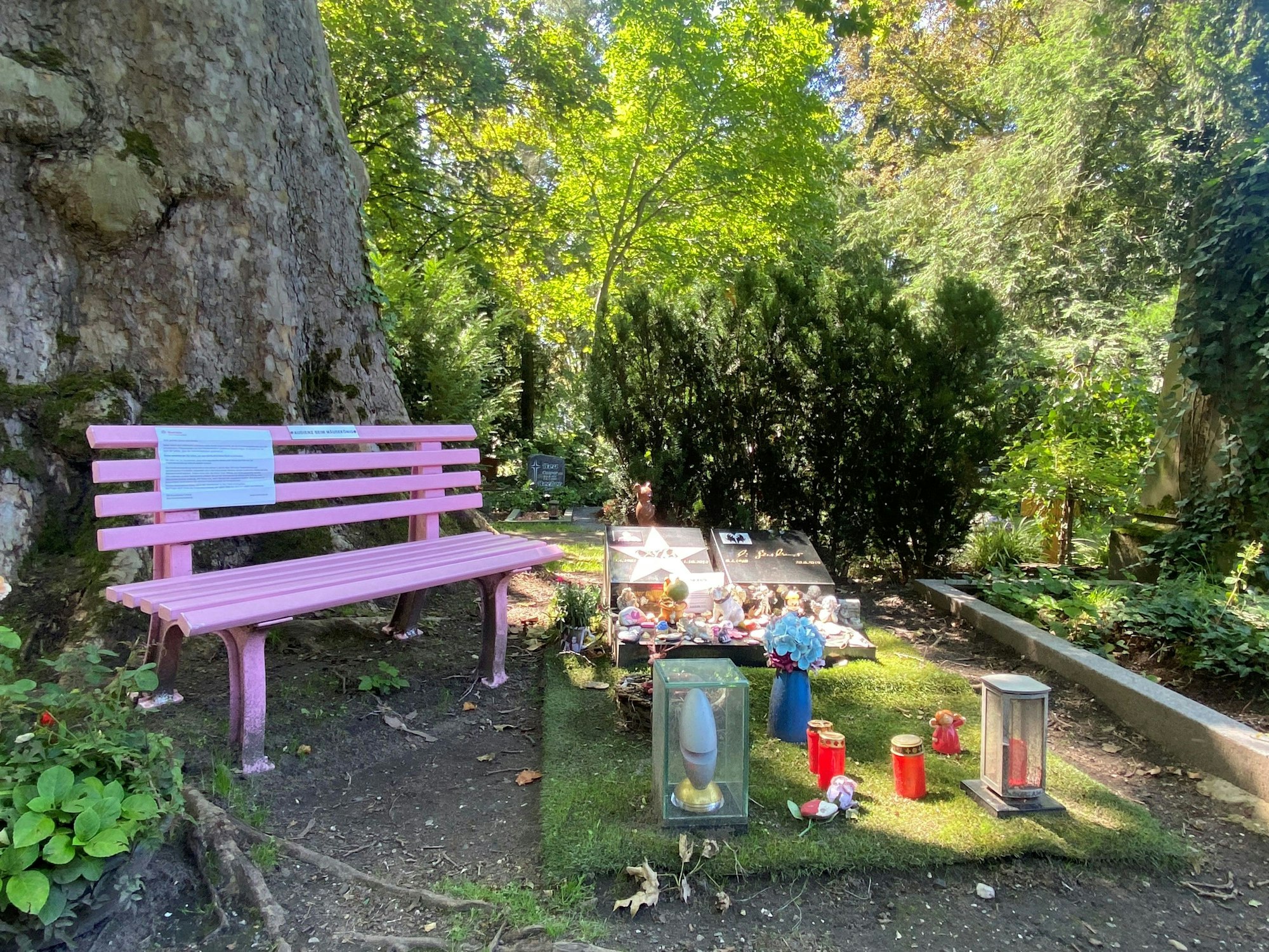 Das Grab von Dirk Bach. Daneben steht eine pinke Bank.