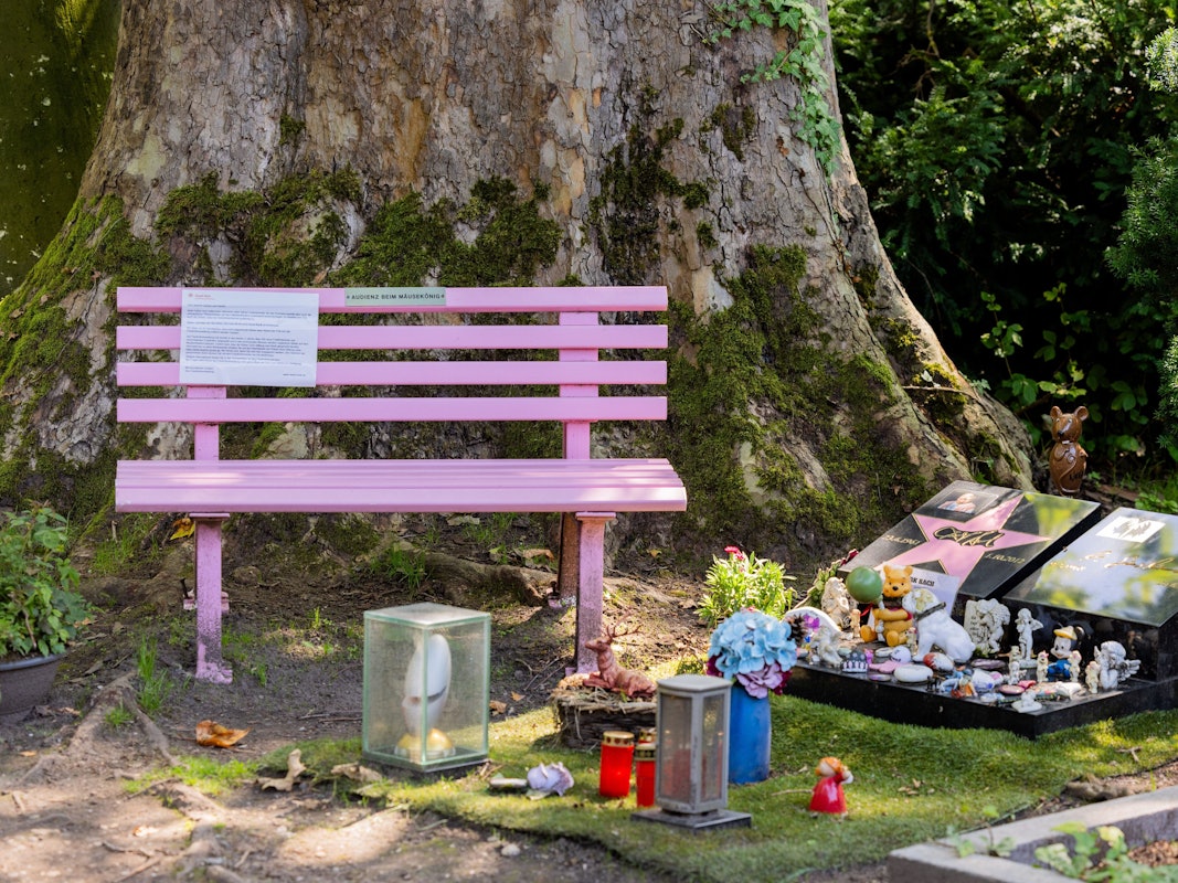 Blick auf das Grab von Dirk Bach auf dem Melatenfriedhof in Köln. Die rosa Bank daneben sticht ins Auge.
