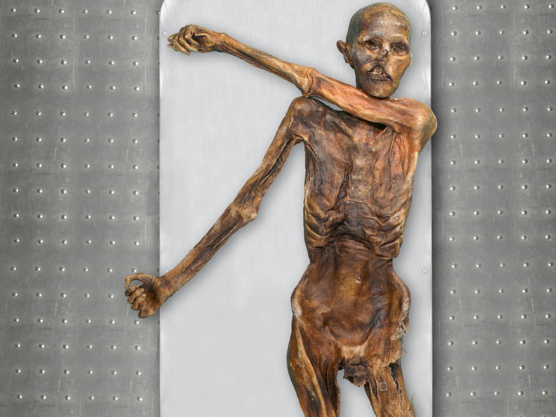 Das Bild zeigt die Mumie des Gletschermanns „Ötzi“. Eine Genomanalyse verrät, wie der Gletschermann „Ötzi“ zu Lebzeiten aussah.