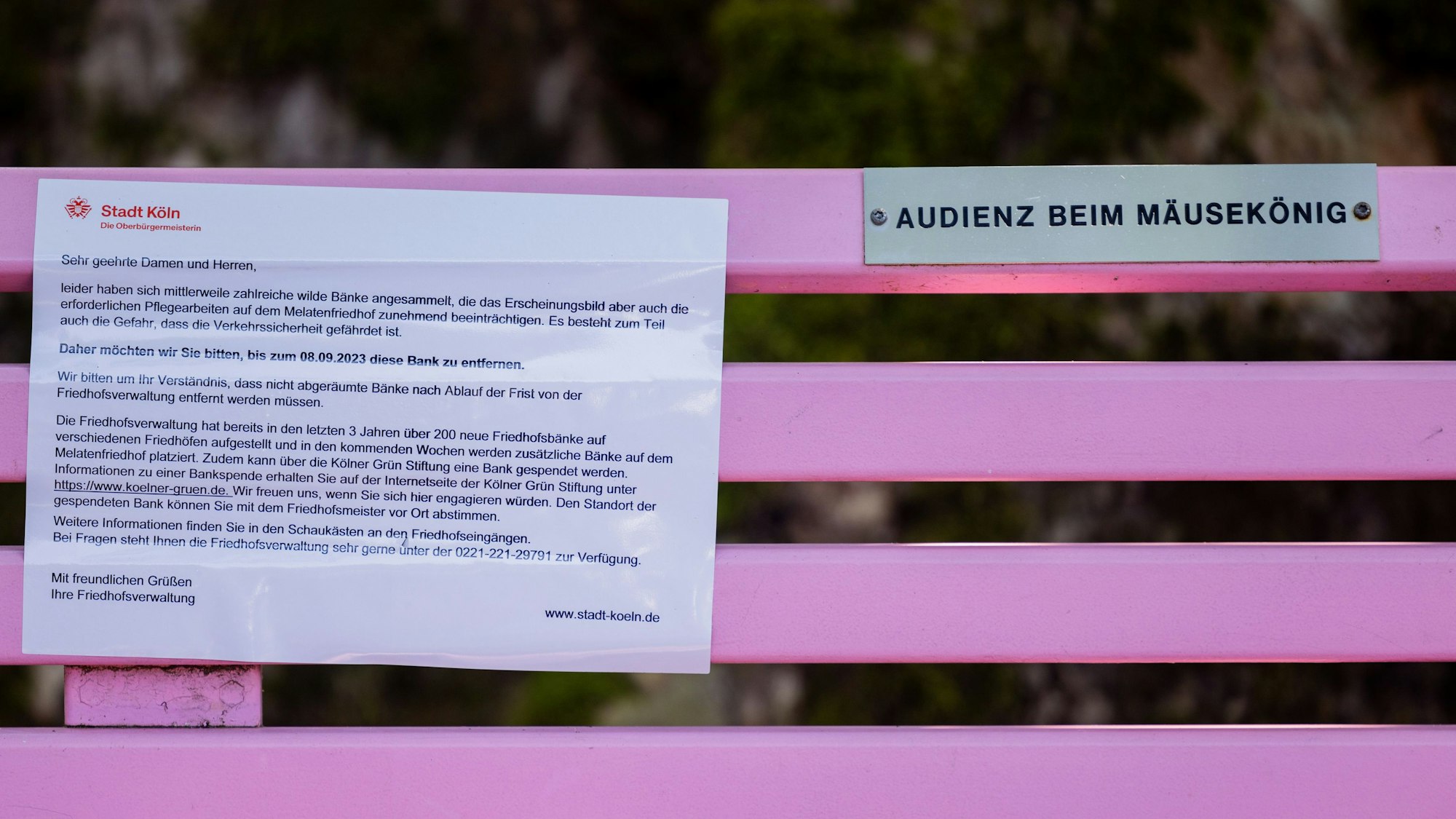 Blick auf die rosa Bank am Grab von Dirk Bach.