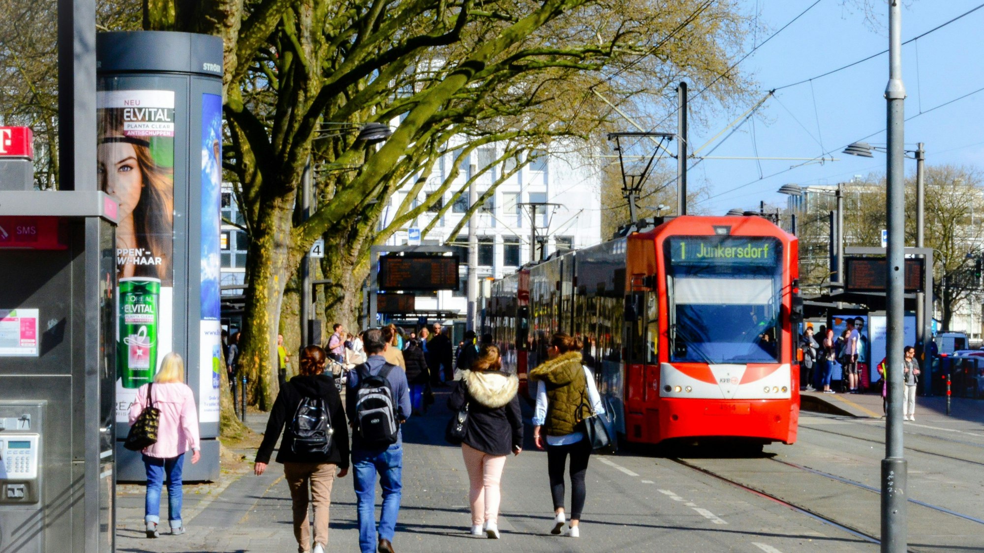 Eine Bahn der Linie 1 am Neumarkt