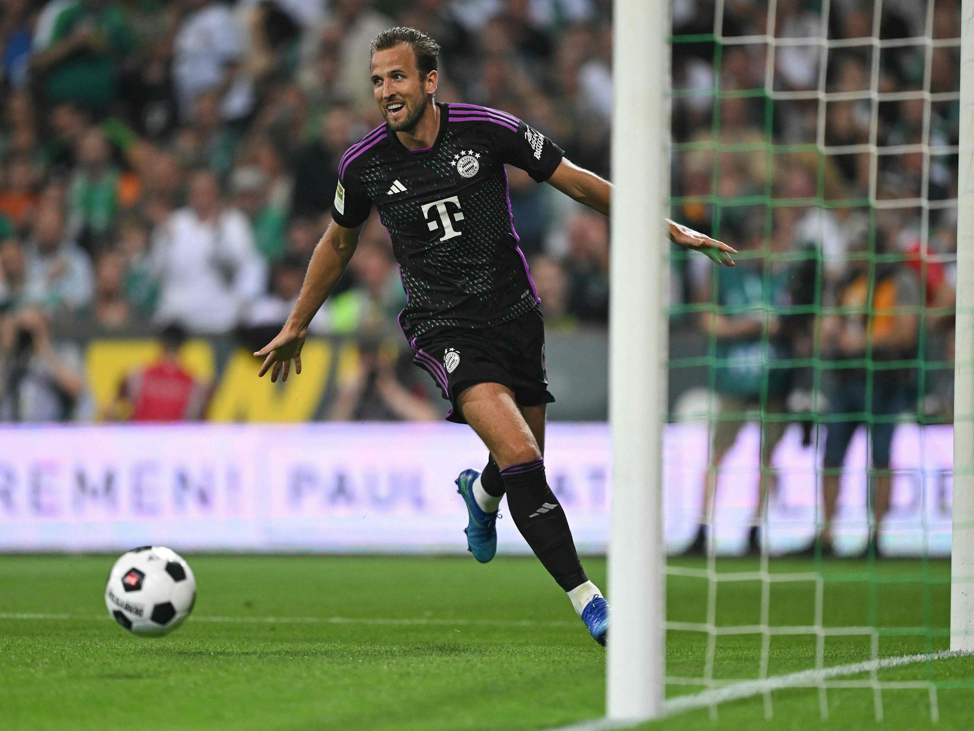 Harry Kane jubelt, der Ball ist im Tor.