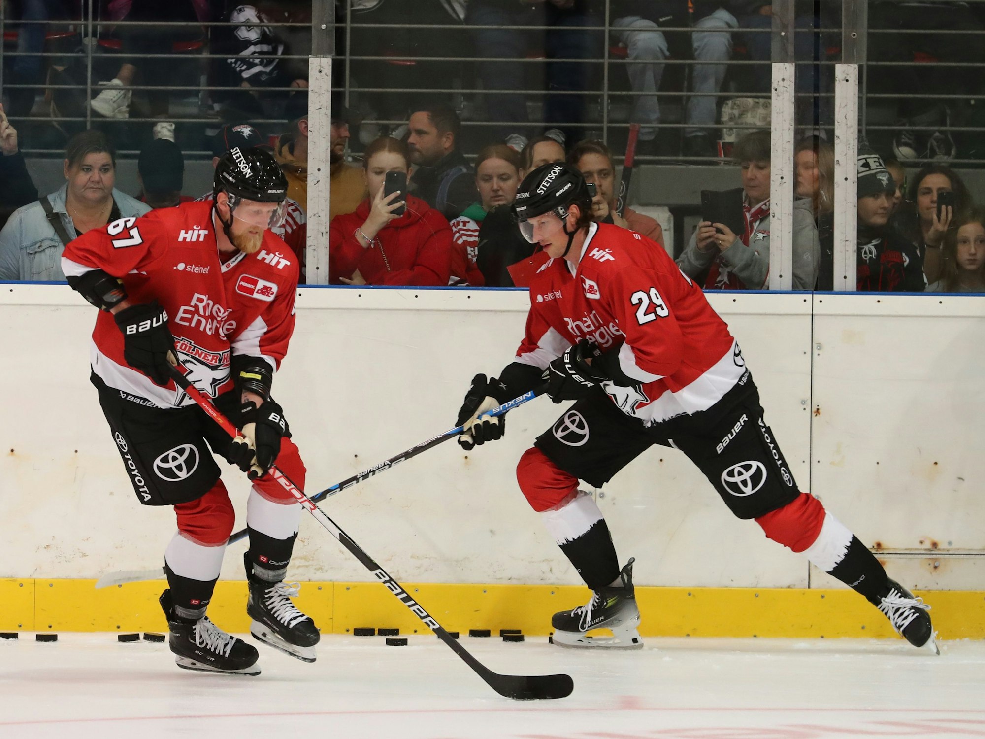KEC-Training in der Kölnarena 2 vor der DEL-Saison 2023/24.