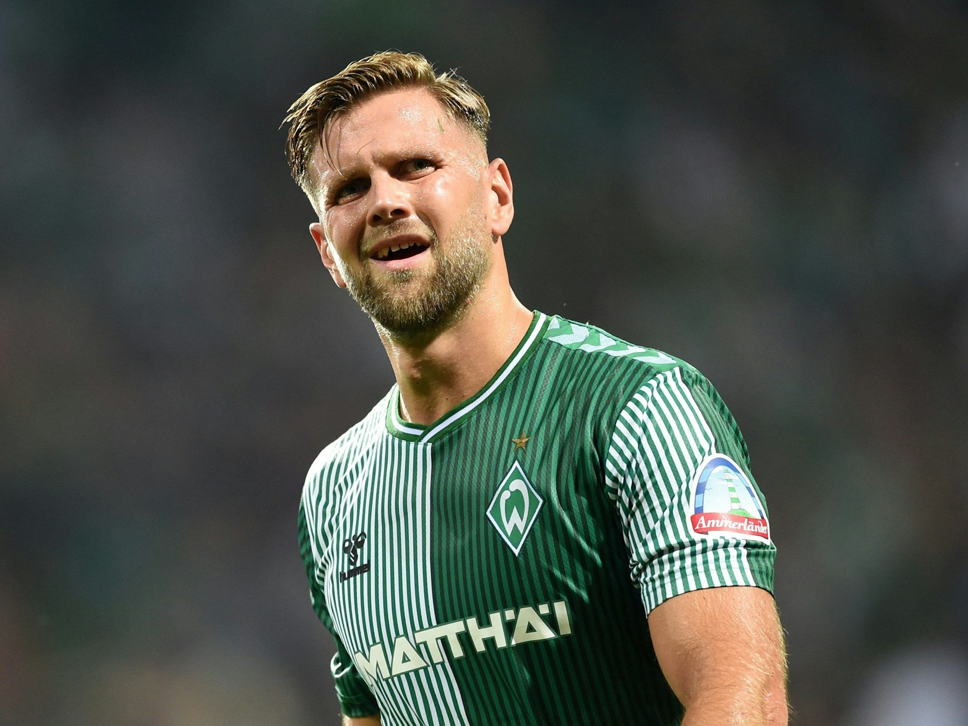 Werder Bremen gegen FC Bayern München: Niclas Füllkrug auf dem Platz.