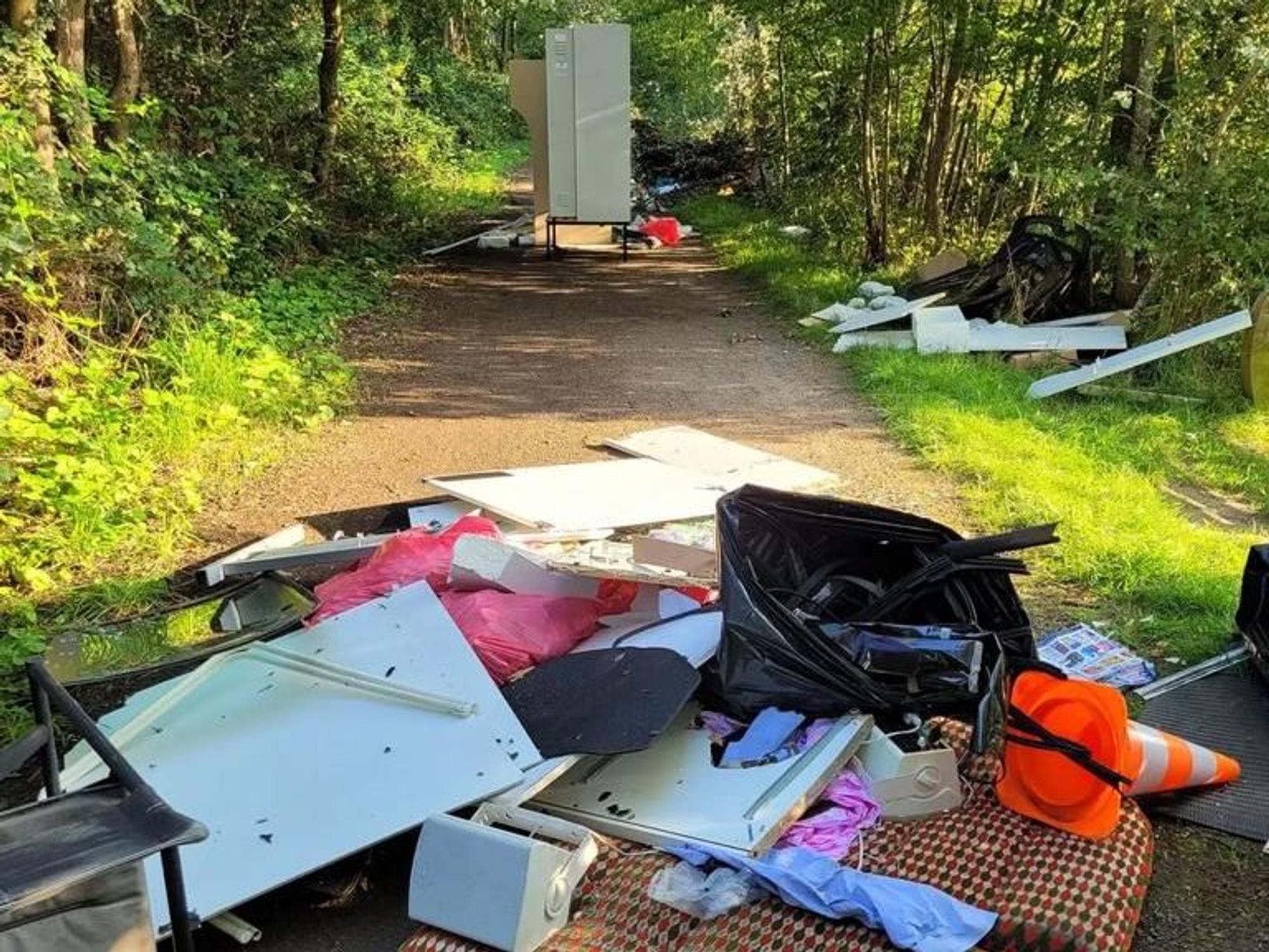 Müll liegt im Kölner Nordpark auf dem Weg durch den Wald.