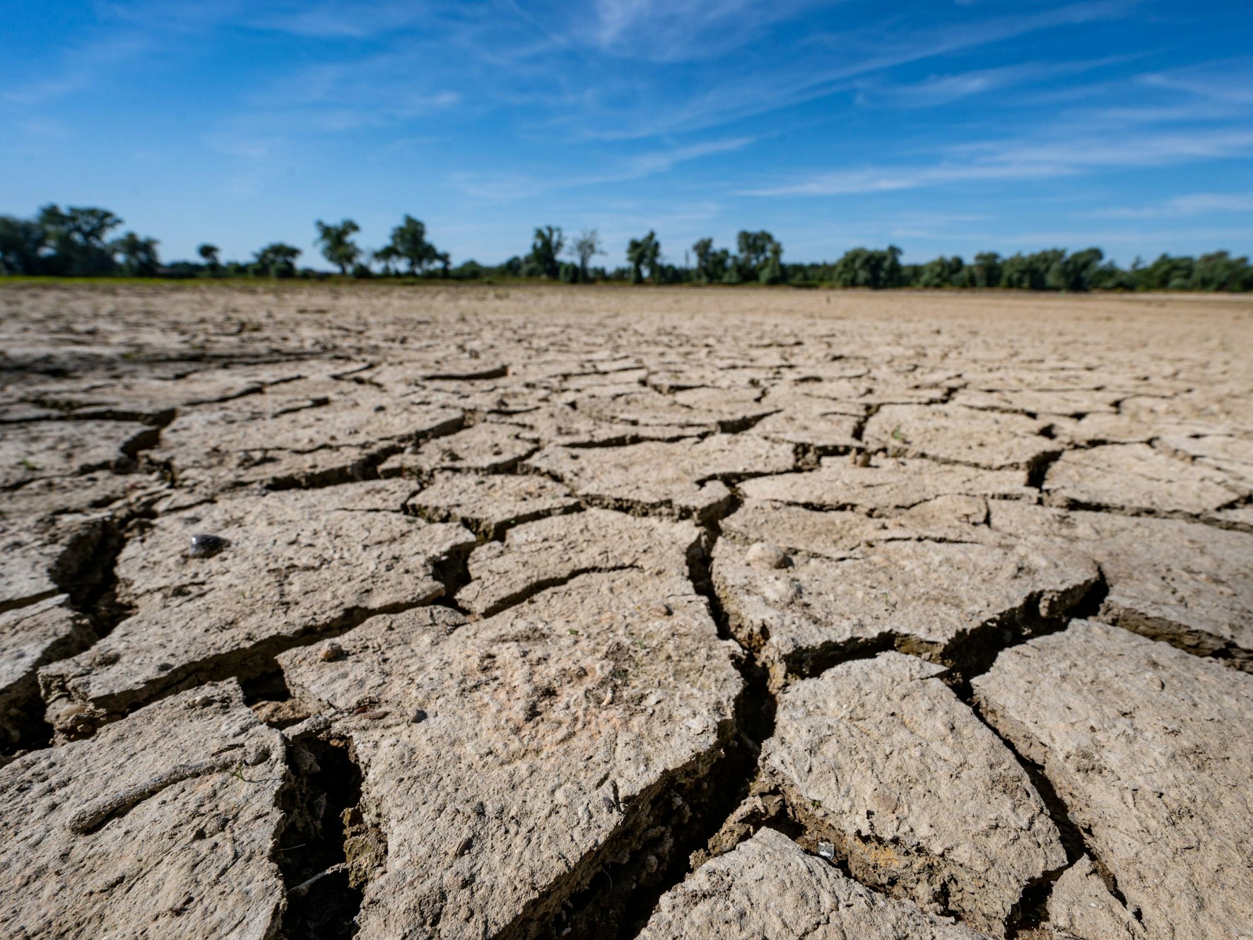 Durch Trockenheit aufgerissener Boden.