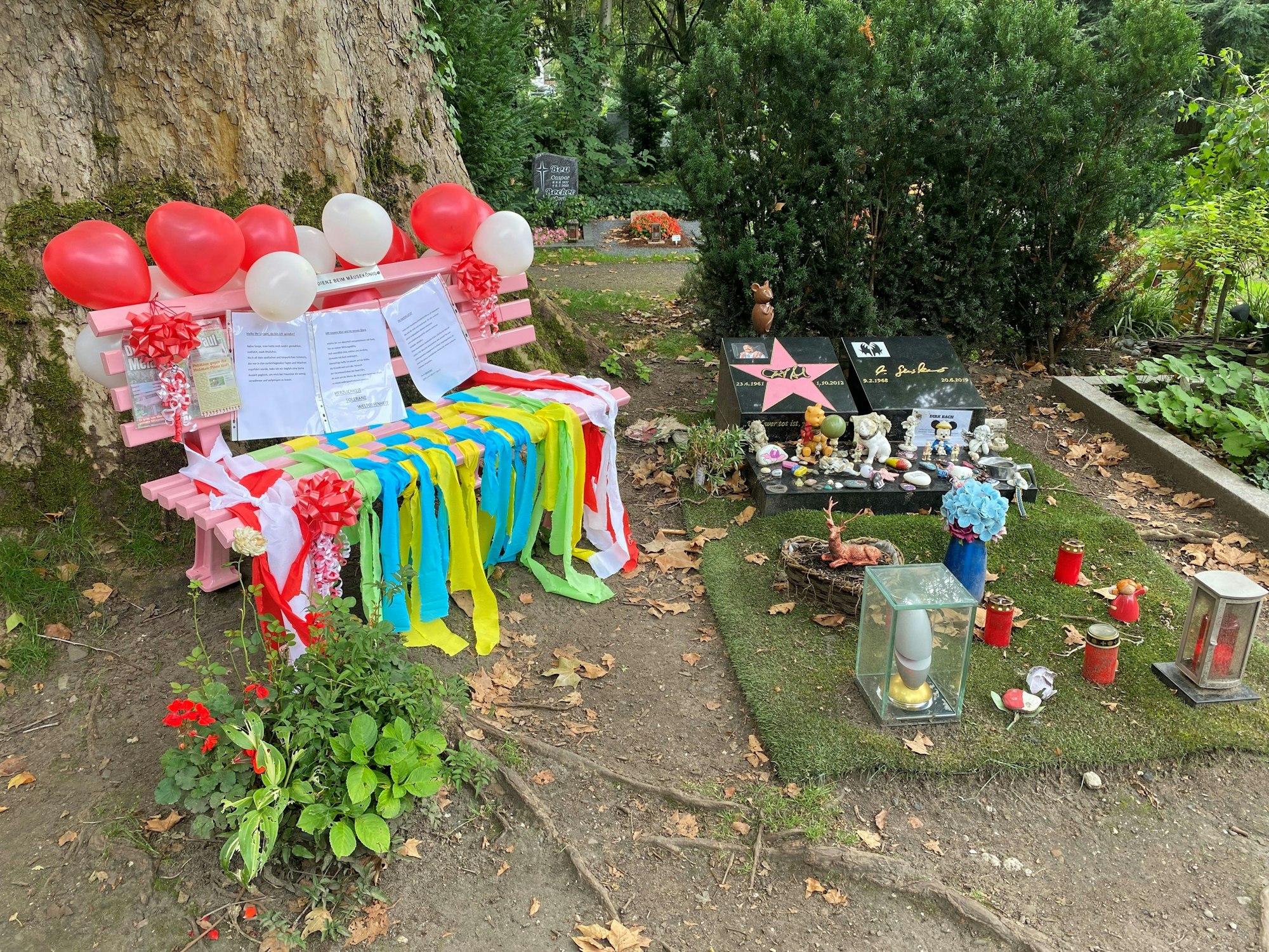 Blick auf das Grab von Dirk Bach auf dem Melatenfriedhof in Köln. Die rosa Bank, die als gestohlen gemeldet wurde, ist wieder da und sieht festlich geschmückt aus.