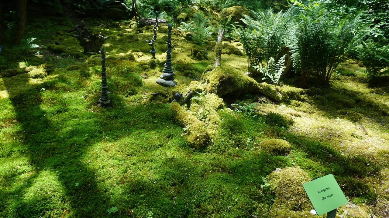 Moosgarten in Staudernheim