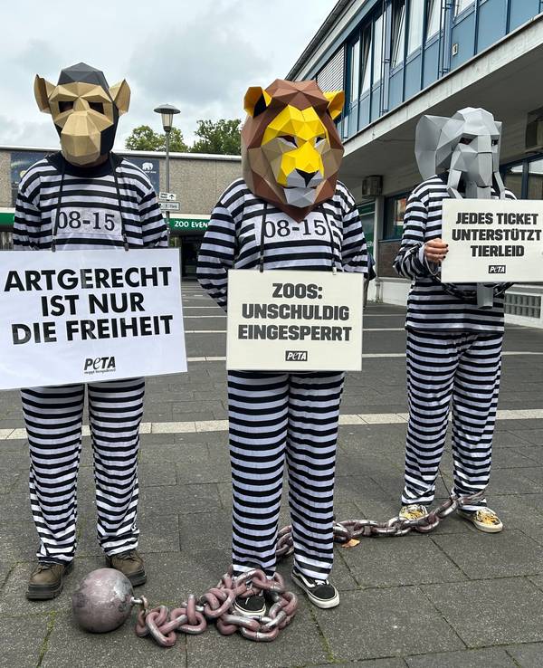 Drei wie Häftlinge verkleidete Aktivistinnen und Aktivisten, mit Demo-Bannern und Tierkopf-Masken.