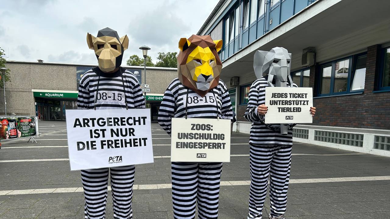 Drei wie Häftlinge verkleidete Aktivistinnen und Aktivisten, mit Demo-Bannern und Tierkopf-Masken.