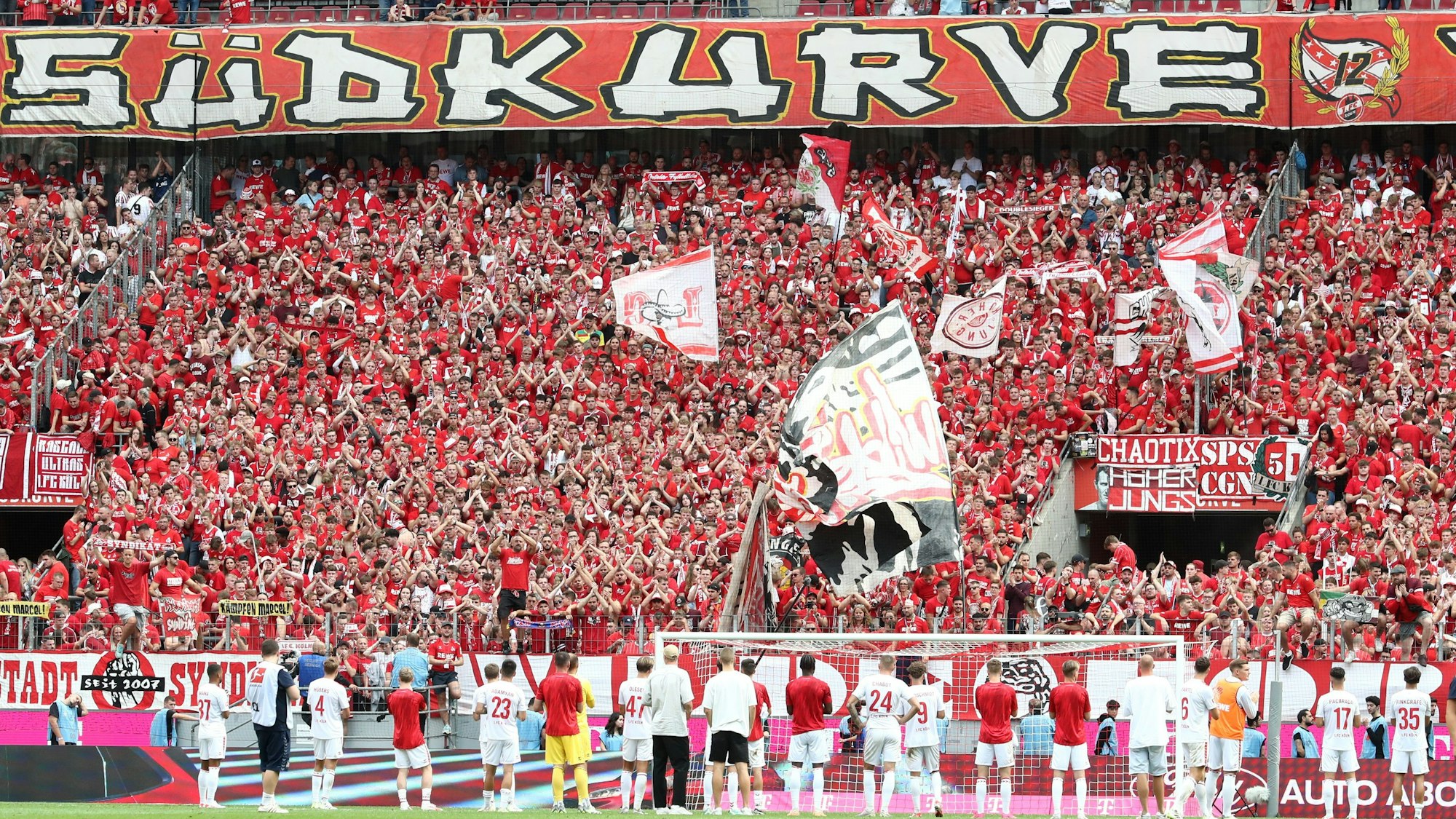 1. FC Köln gegen VfL Wolfsburg: Die Kölner bedanken sich nach dem Spiel bei ihren Fans.