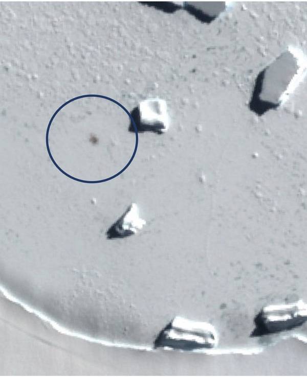 Das Satellitenbild zeigen Smyley Island am 10. Oktober 2022, der Kreis markiert den Standort einer Kaiserpinguin-Kolonie.