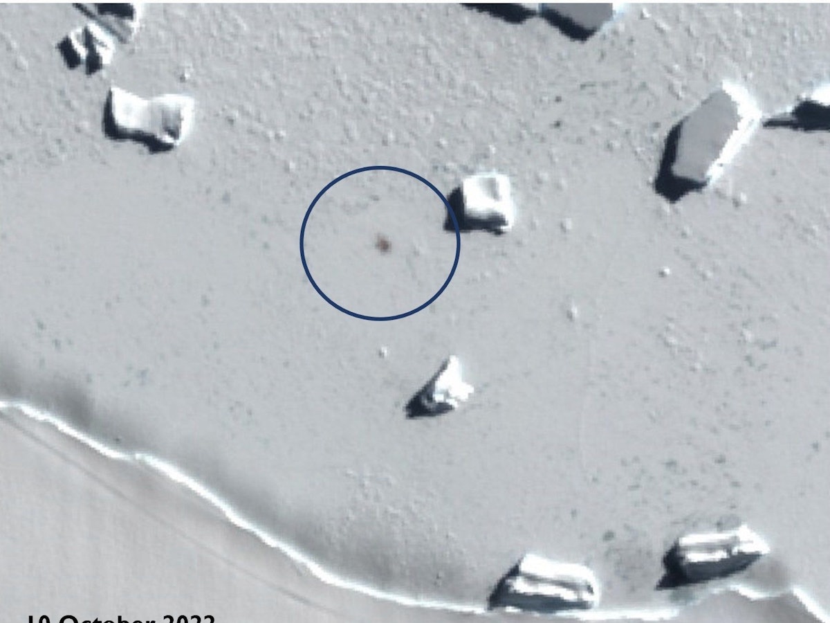 Das Satellitenbild zeigen Smyley Island am 10. Oktober 2022, der Kreis markiert den Standort einer Kaiserpinguin-Kolonie.