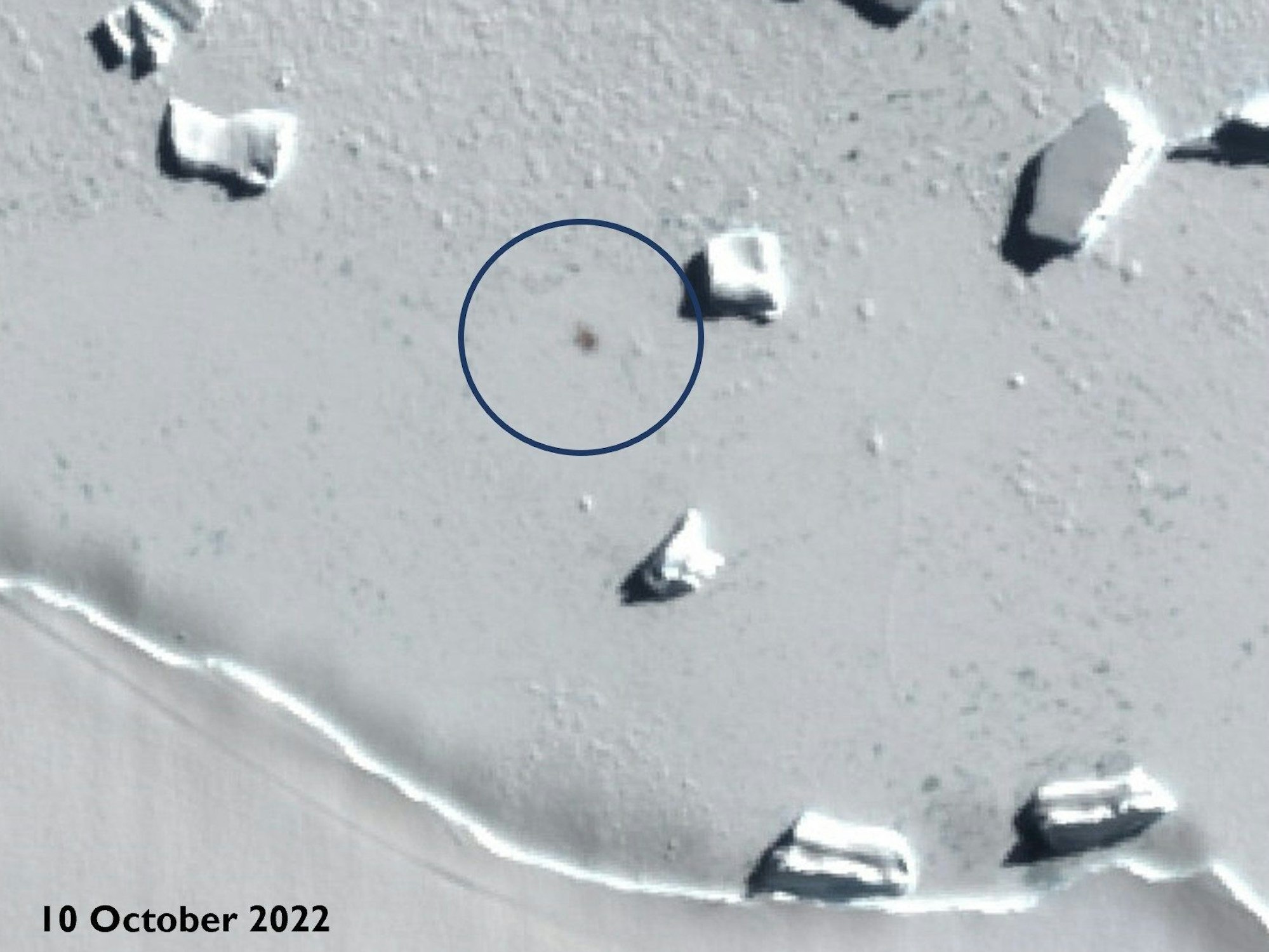 Das Satellitenbild zeigen Smyley Island am 10. Oktober 2022, der Kreis markiert den Standort einer Kaiserpinguin-Kolonie.