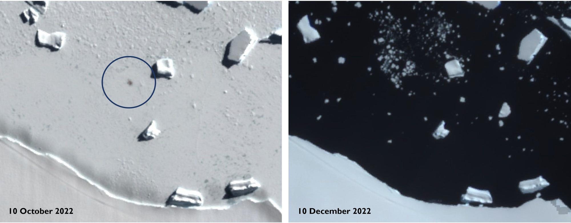 Satellitenbilder zeigen Smyley Island am 10. Oktober 2022 (links) und am 10. Dezember 2022. Das Eis ist dort nahezu komplett verschwunden.