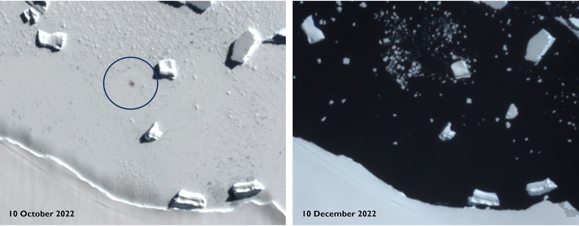 Satellitenbilder zeigen Smyley Island am 10. Oktober 2022 (links) und am 10. Dezember 2022. Das Eis ist dort nahezu komplett verschwunden.