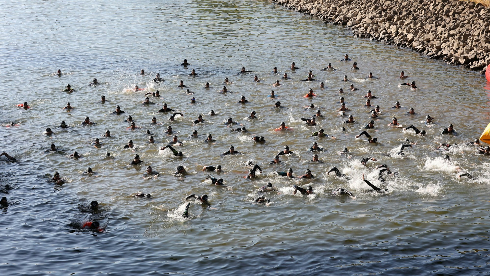 Triathlon in Köln: Hier der Schwimmstart der Olympischen Distanz im Deutzer Hafen am 4. September 2022