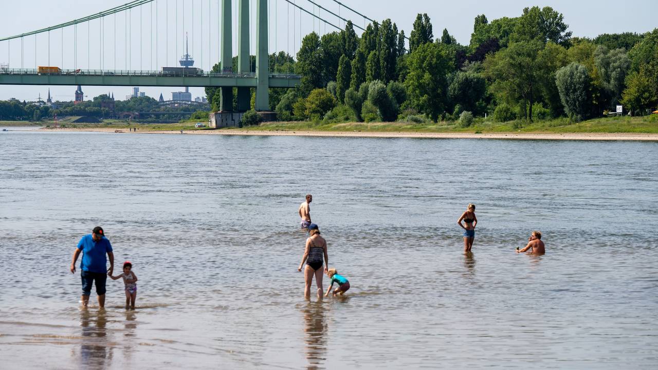 Menschen baden an der Rodenkirchener Riviera im Rhein.