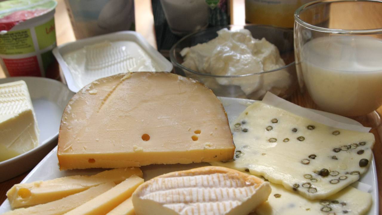 Eine Auswahl an Käse- und Milchprodukten steht auf einem Tisch.