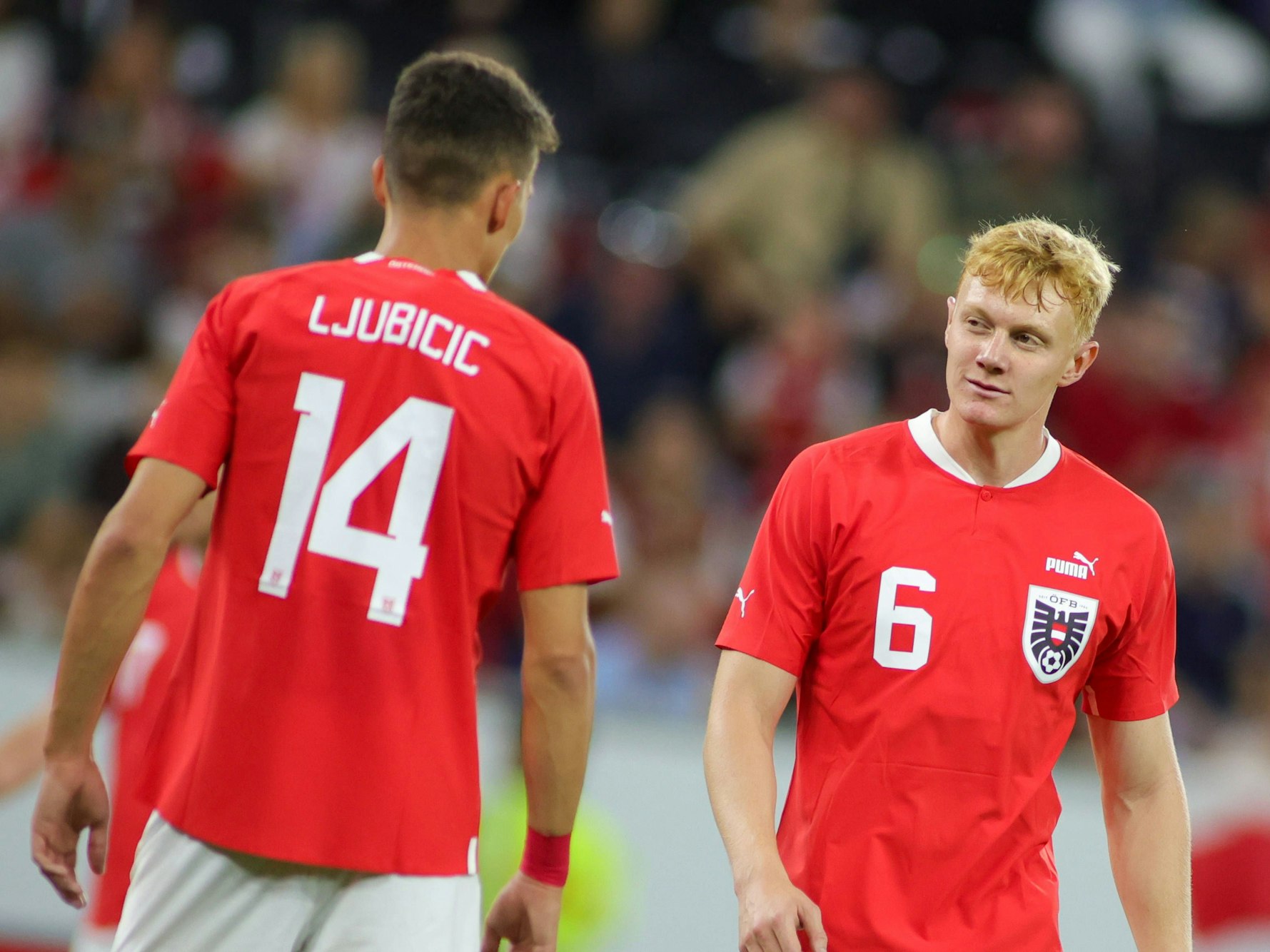Dejan Ljubicic und Nicolas Seiwald während eines Länderspiels.