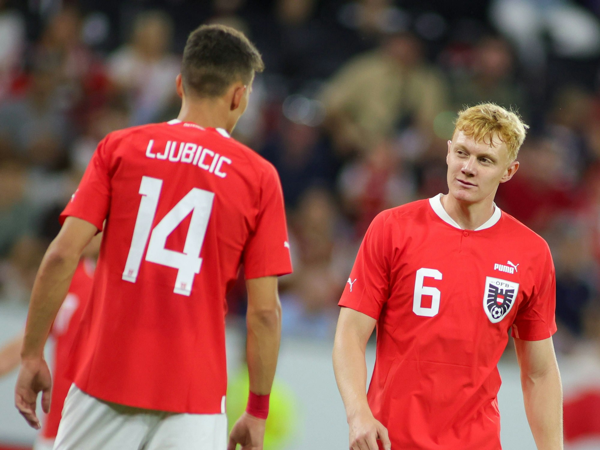 Dejan Ljubicic und Nicolas Seiwald während eines Länderspiels.