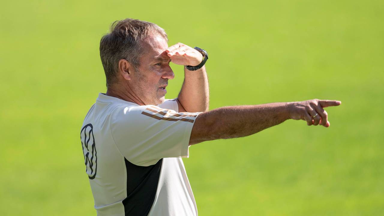 Bundestrainer Hansi Flick gibt Anweisungen.