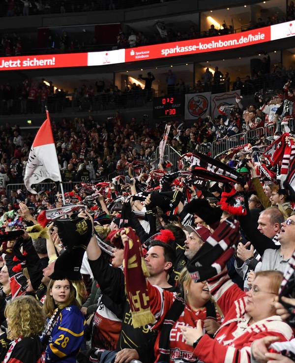 Kölner Haie gegen Adler Mannheim: KEC-Fans ind er Lanxess-Arena.