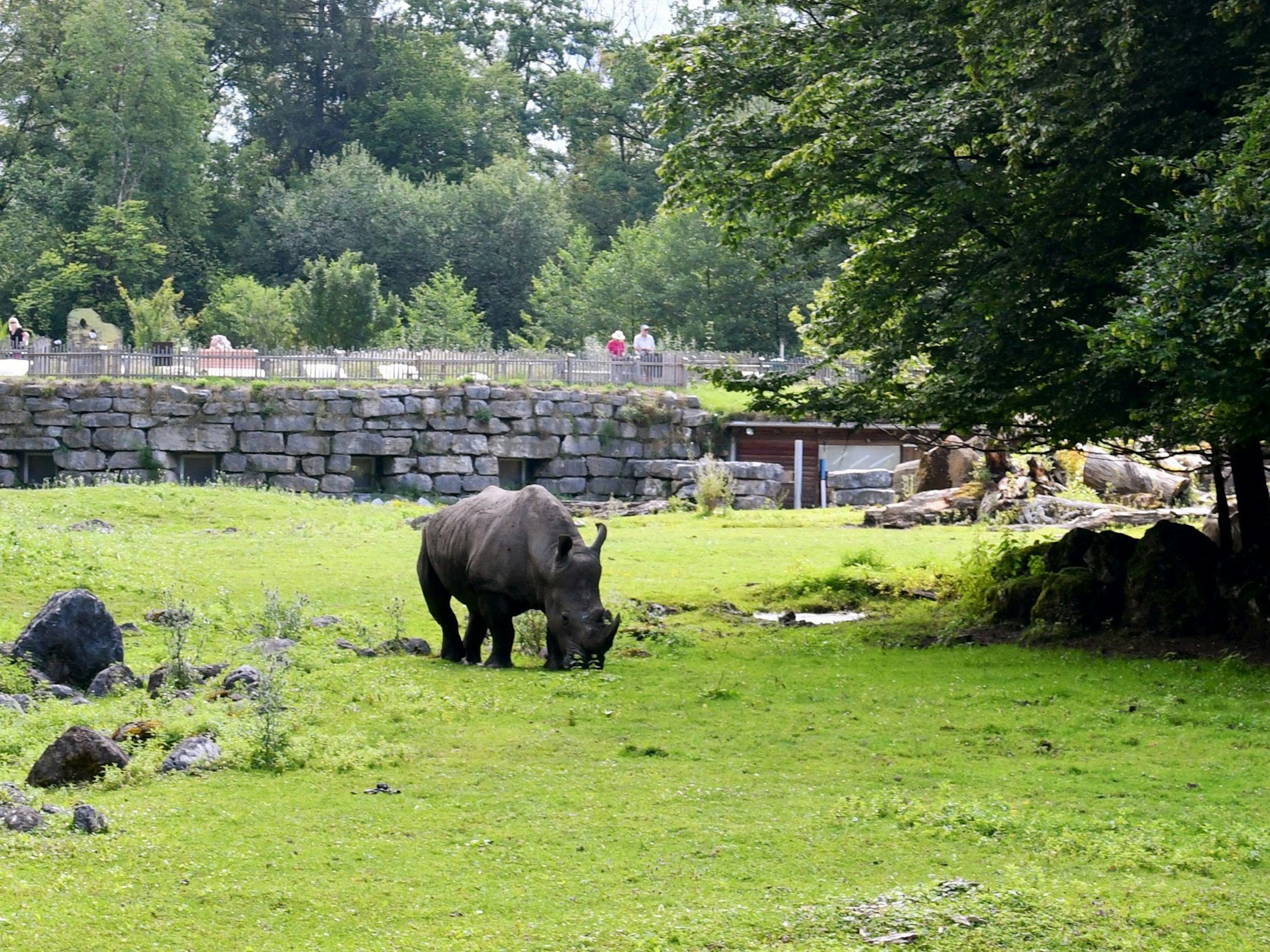Die Nashornanlage im Zoo Salzburg.