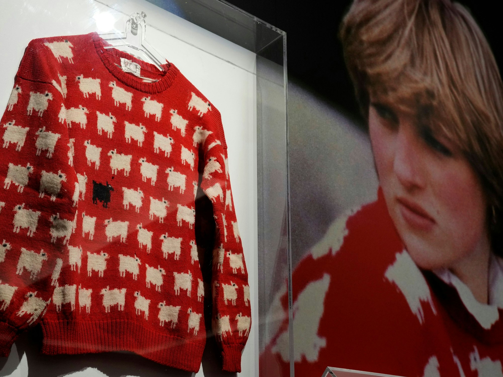 Der berühmte Schäfchen-Pullover von Prinzessin wurde für eine unfassbare Summe versteigert.