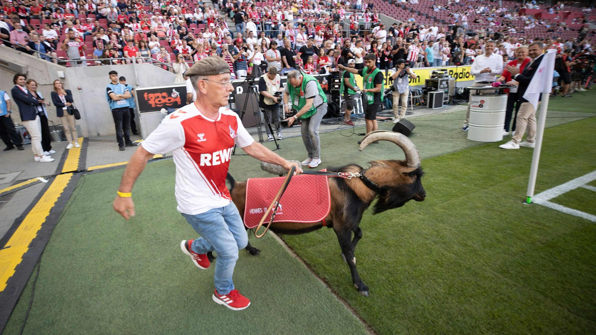Ingo Reipka führt Hennes IX. ins Rhein-Energie-Stadion.