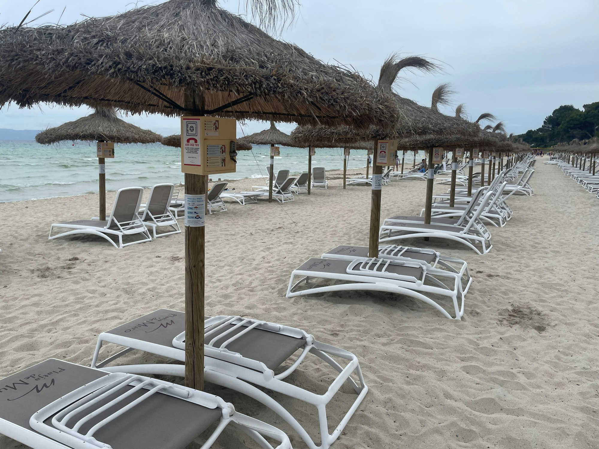 Sonnenschirme und Strandliegen sind an einem Strandabschnitt am Platja de Muro auf Mallorca zu sehen.