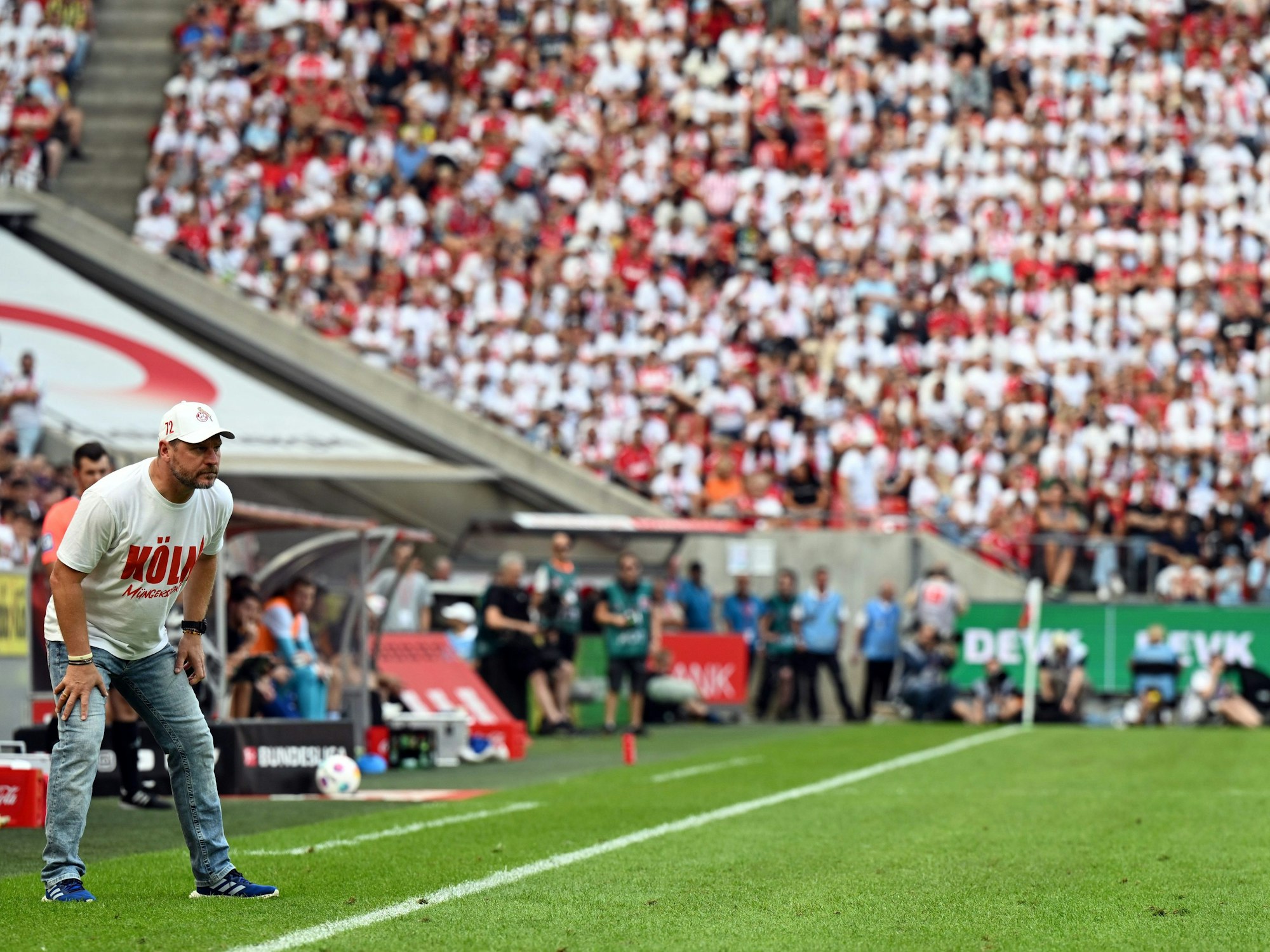 Steffen Baumgart beim Spiel gegen die TSG Hoffenheim.