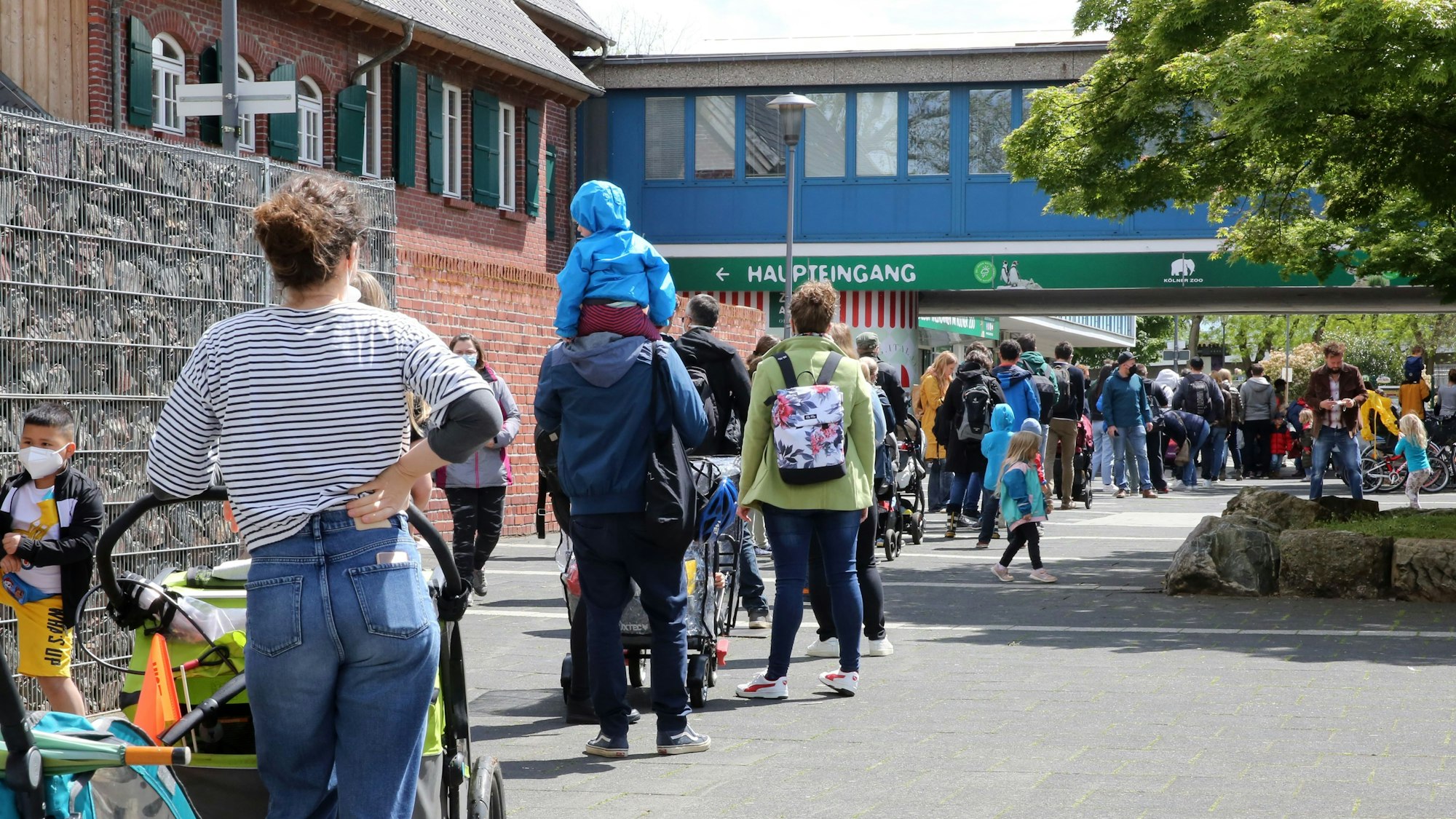 Viele Menschen stehen vor dem Eingang des Kölner Zoos und warten auf die Öffnung.