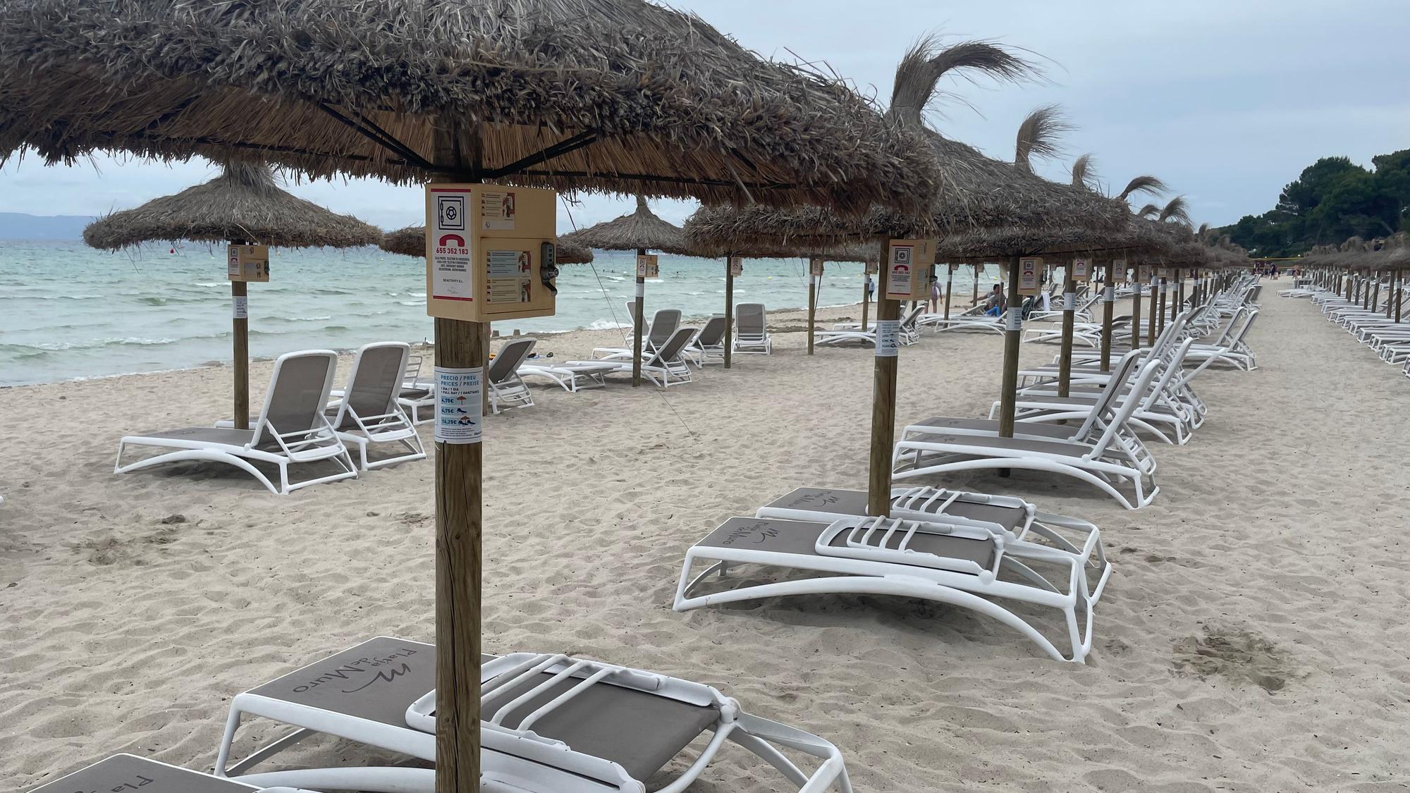 Strandliegen stehen am Strand Playa de Muro auf Mallorca.