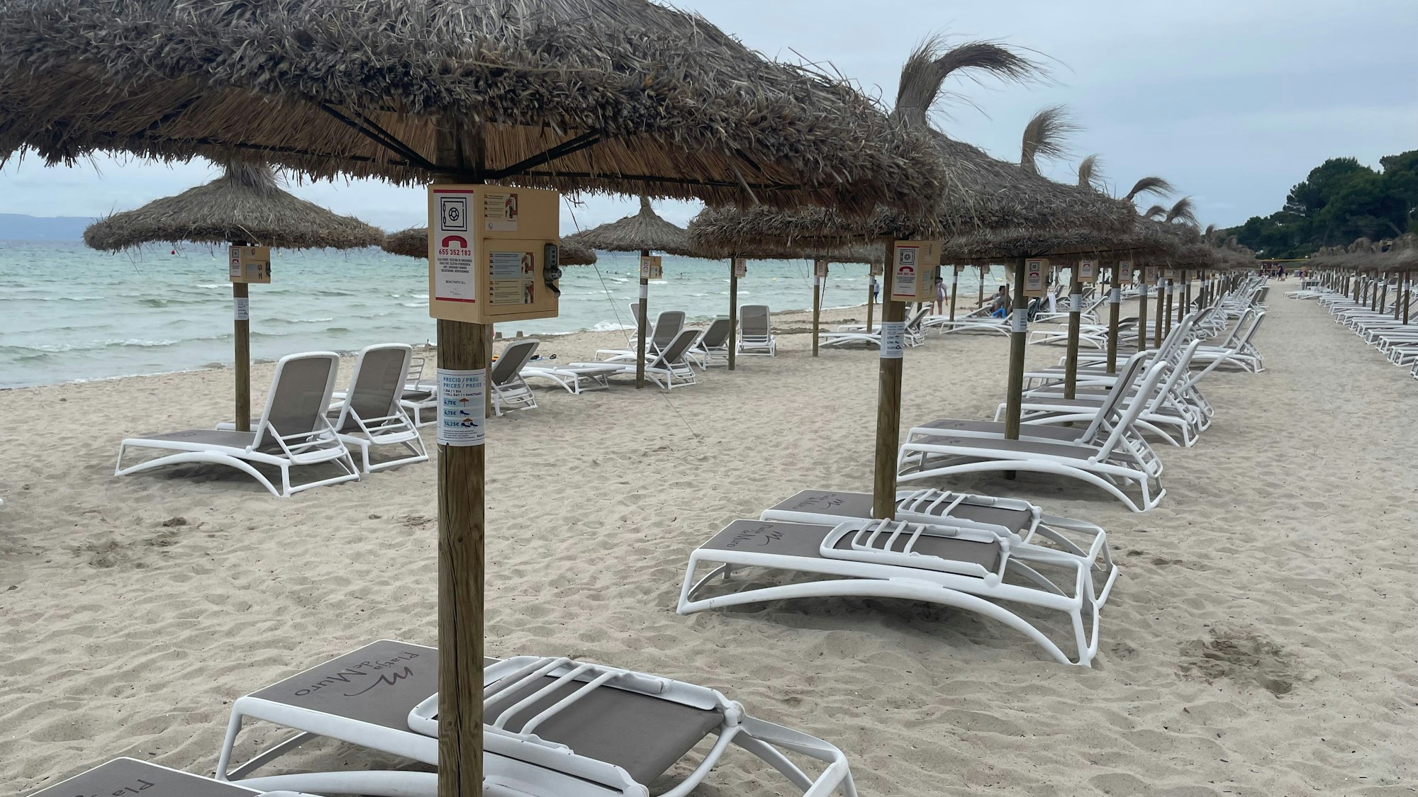 Strandliegen stehen am Strand Playa de Muro auf Mallorca.