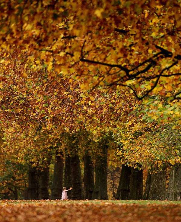 Ein Kind läuft durch Herbstlaub.