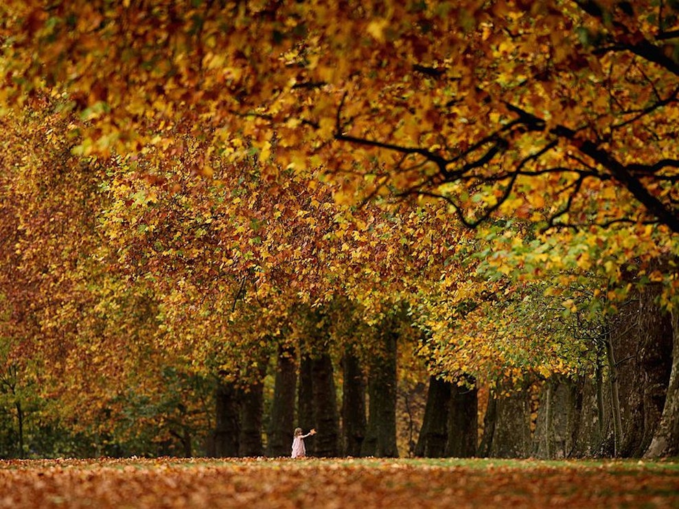 Ein Kind läuft durch Herbstlaub.