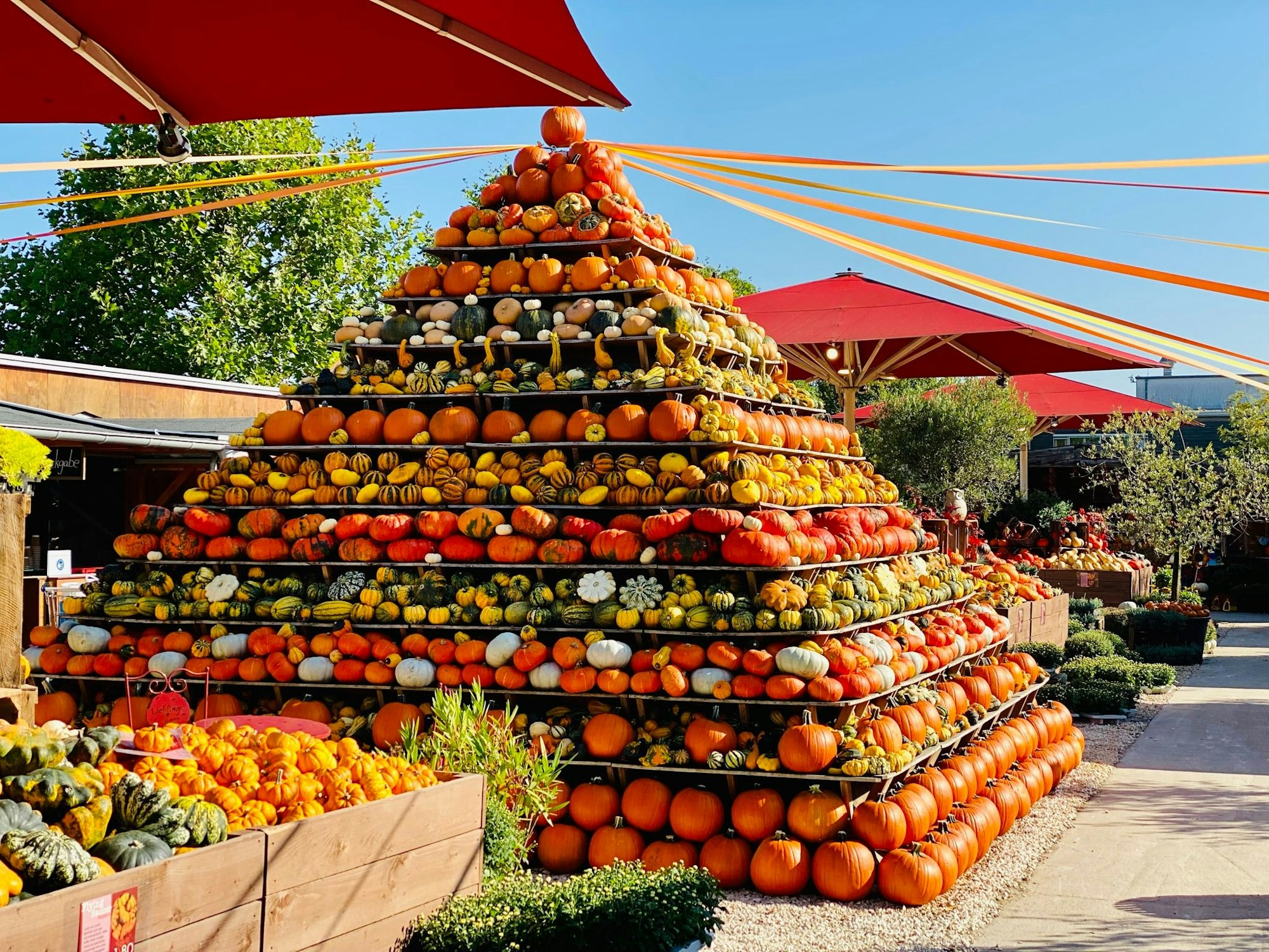 Eine Pyramide aus Kürbissen steht auf dem Gelände des Gertrudenhofes.