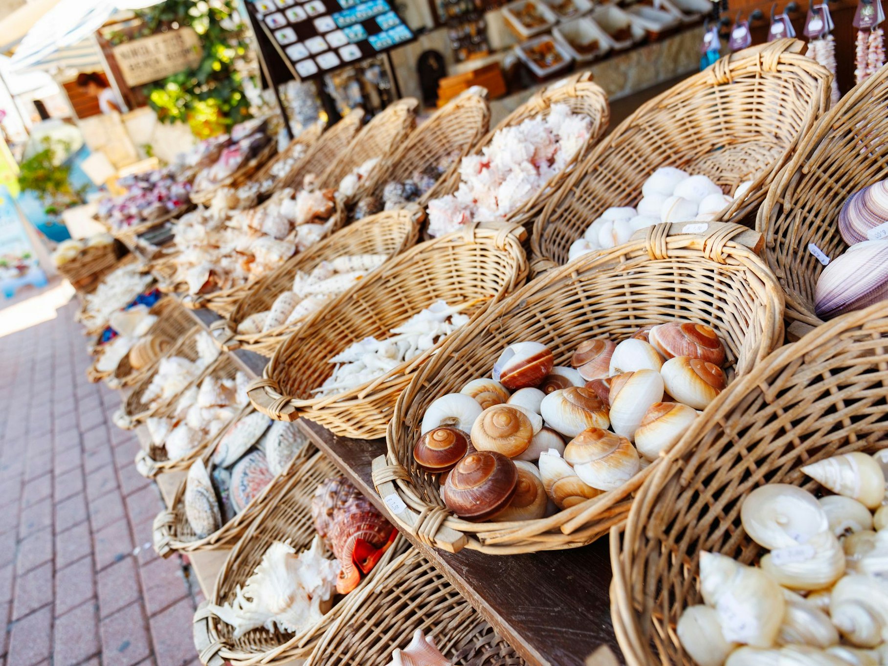 Muscheln als Souvenir in Griechenland.