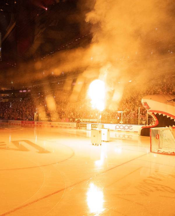 Stimmung in der Arena beim Haie-Heimspiel in Köln.