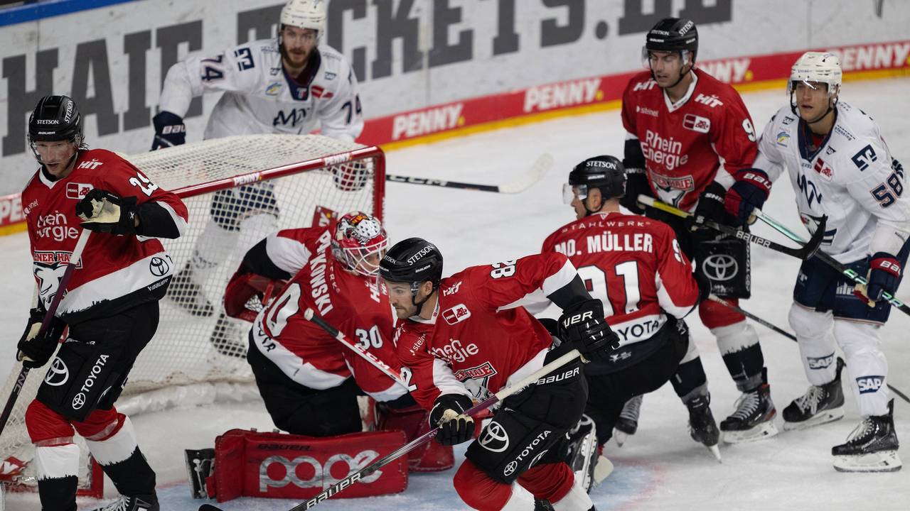 Spielzszene zwischen den Kölner Haien und Adler Mannheim in der Lanxess-Arena.