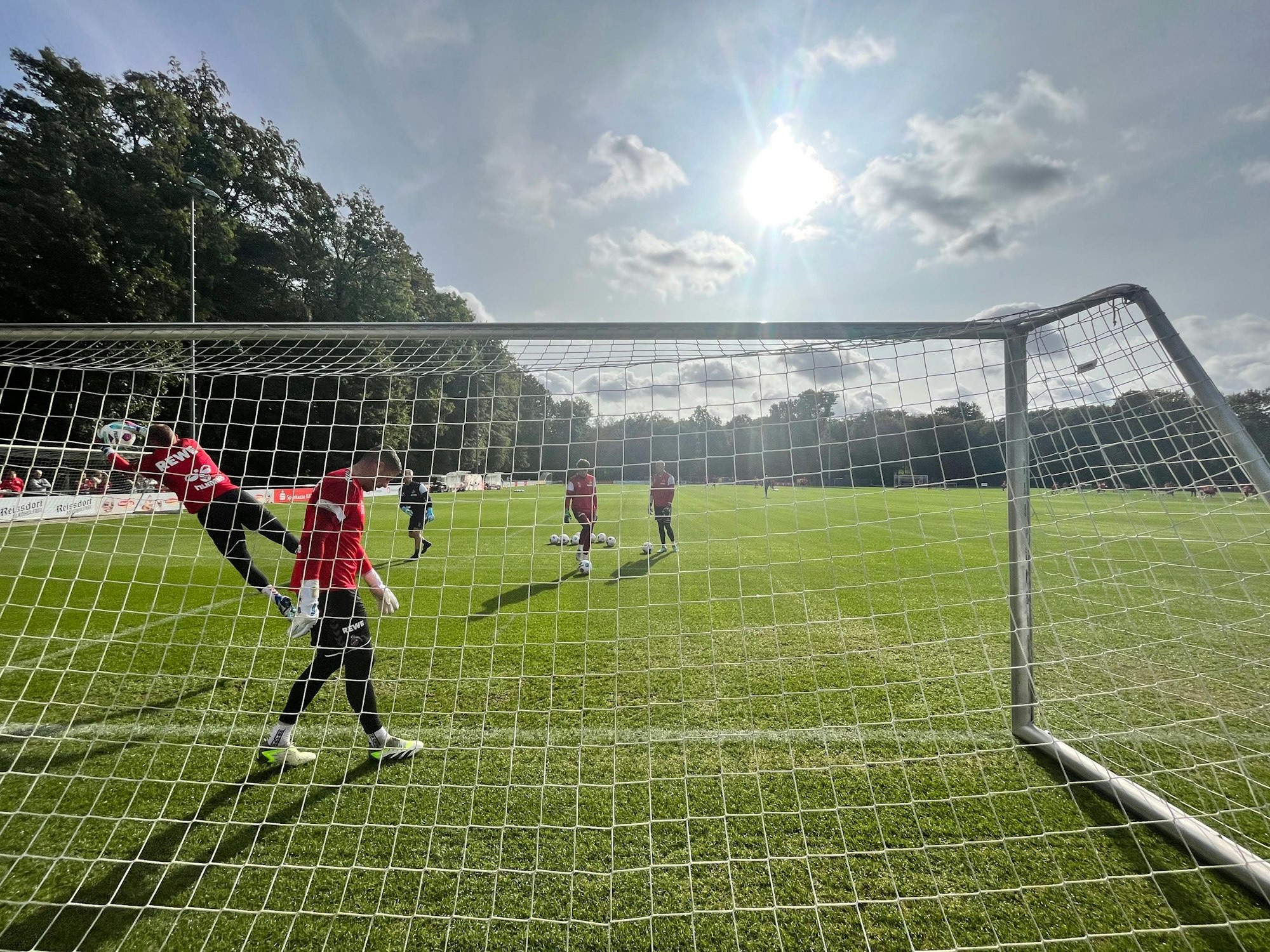 Training des 1. FC Köln.